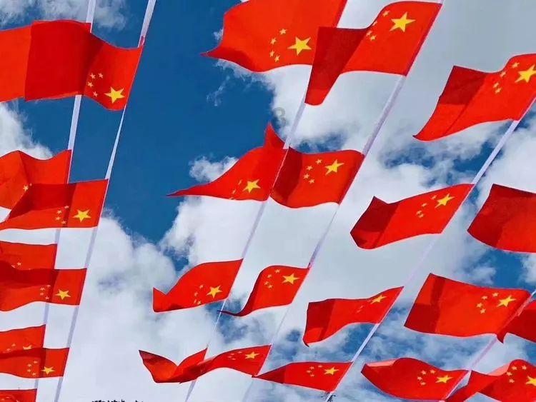披萨找不同
